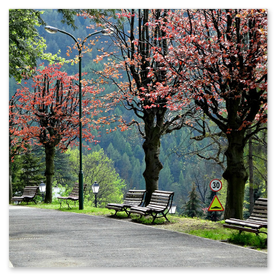 Pieniny - Wyprawa Kamperem Pieniny - Wyprawa Kamperem